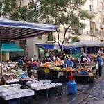 Metrodante *